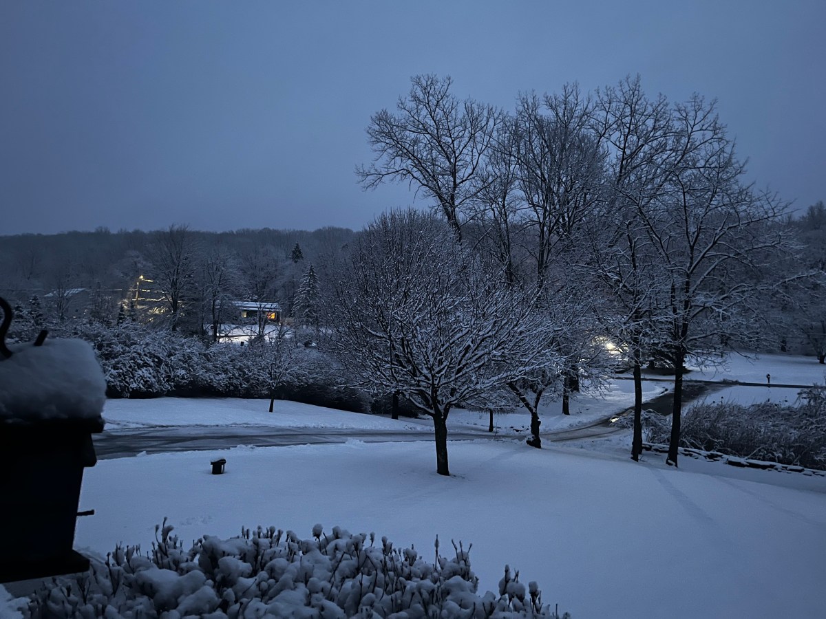 New York’s Abnormal&nbsp;Winter